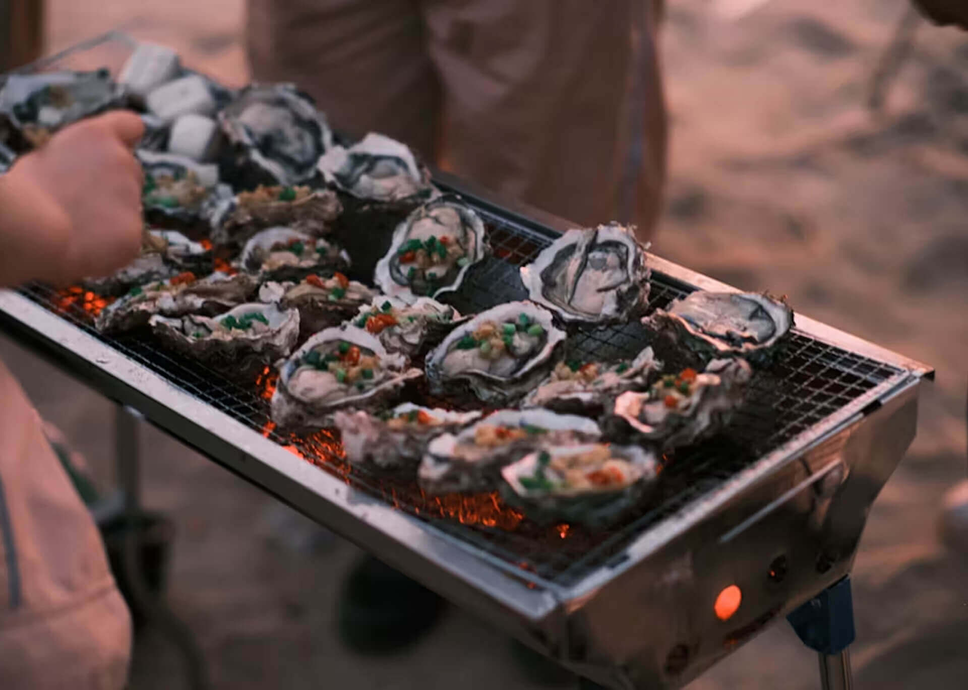 Fresh oysters grilling over coals on the beach at dusk