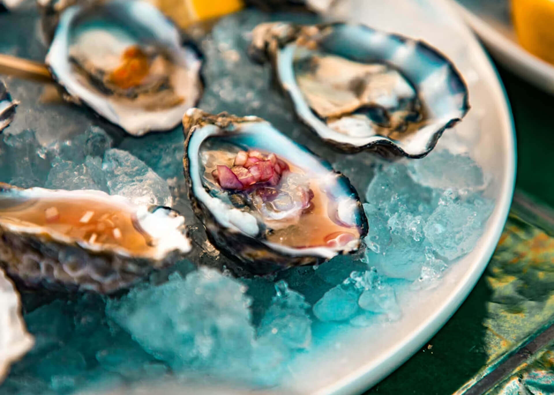 Fresh oysters on ice with garnish on a teal plate